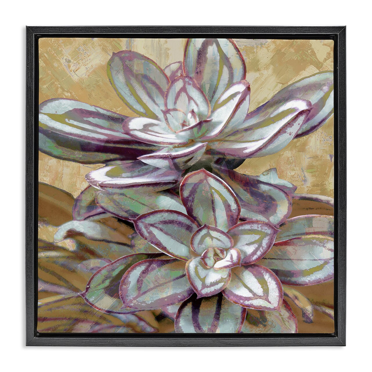 Stupell Industries Rustic Desert Succulents Framed Floater Canvas Wall Art Design by Lindsay Benson